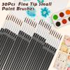 imageMiniature Detail Paint Brushes Anezus 30 Pcs Paintbrushes Small Watercolor Artists Paint Brushes for Acrylics Oil Model Craft Nail Detail Painting Size 00000